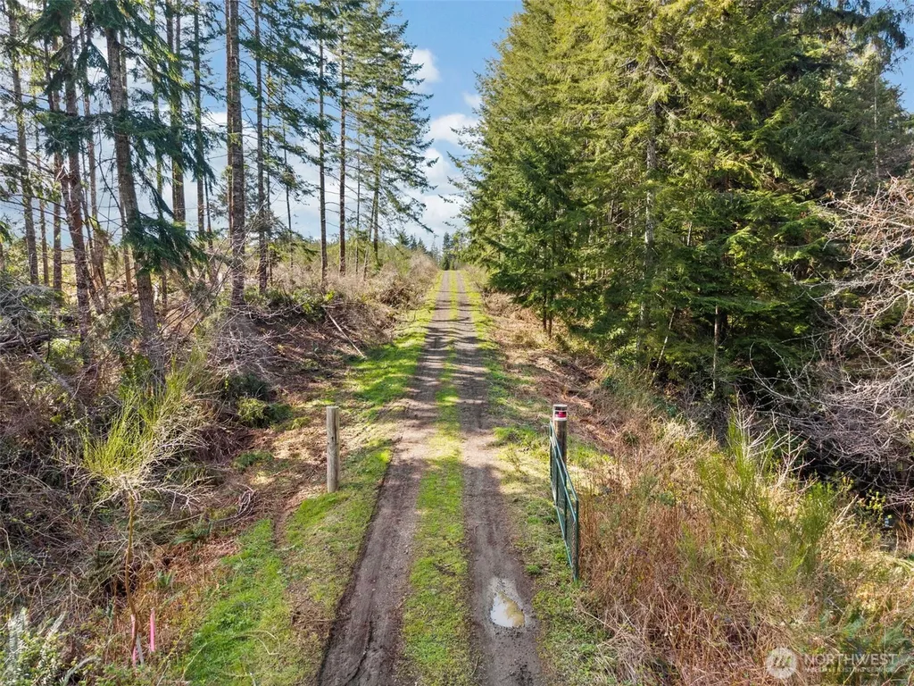 75 Bear Meadows Lane Aberdeen WA 98520