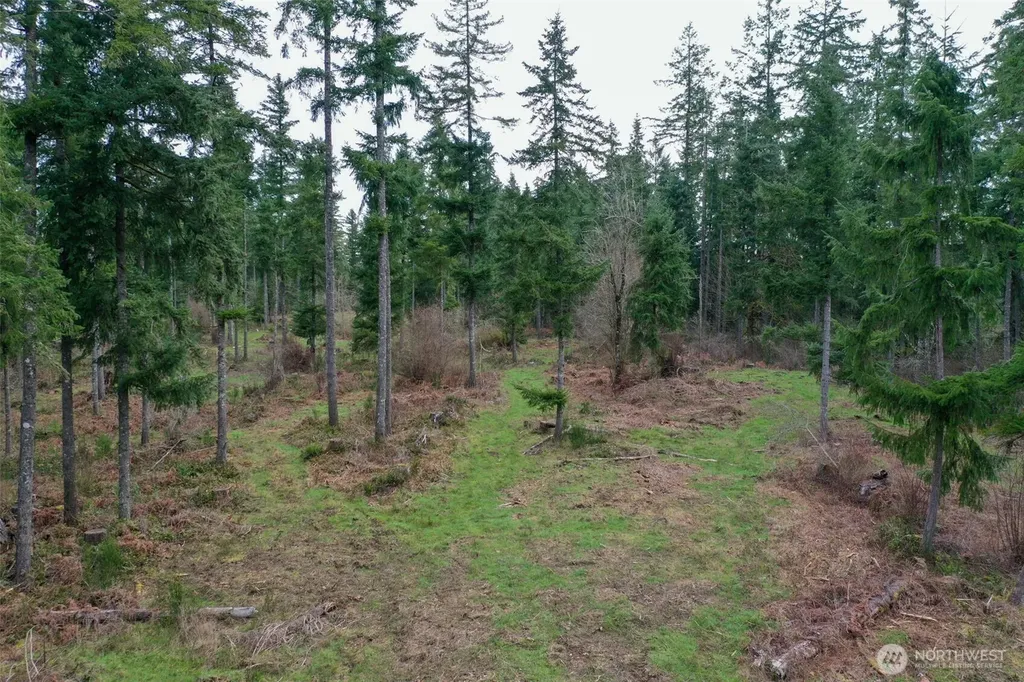 7128 115th Avenue SW Olympia WA 98512