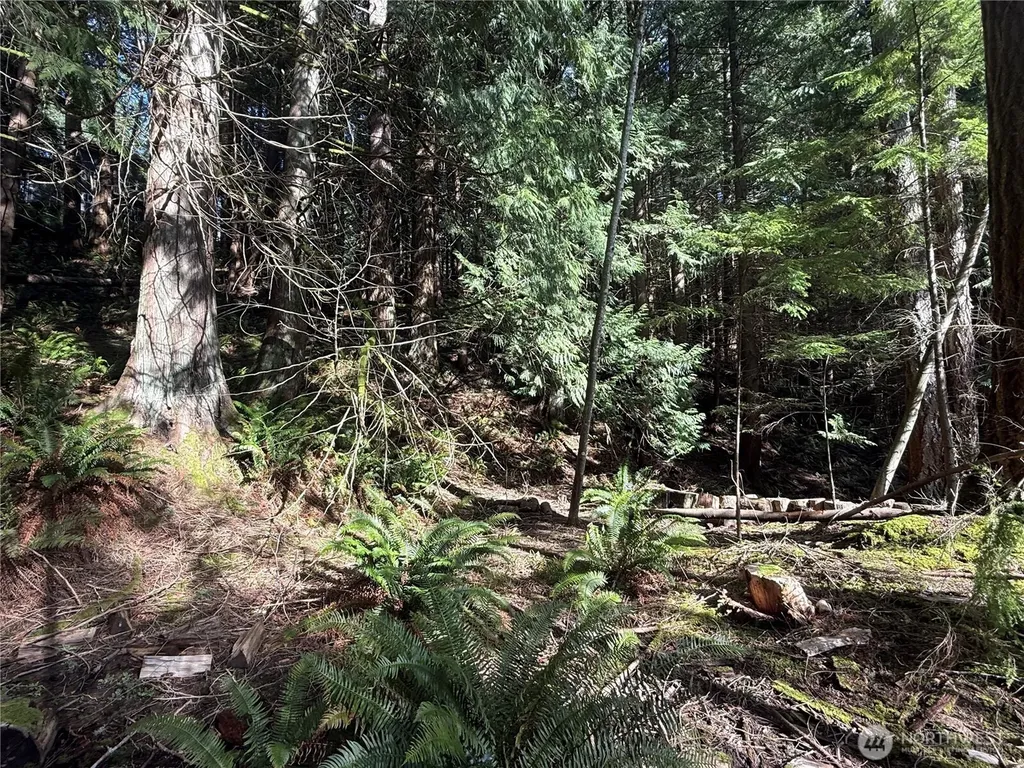 14 Granite Circle Bellingham WA 98229