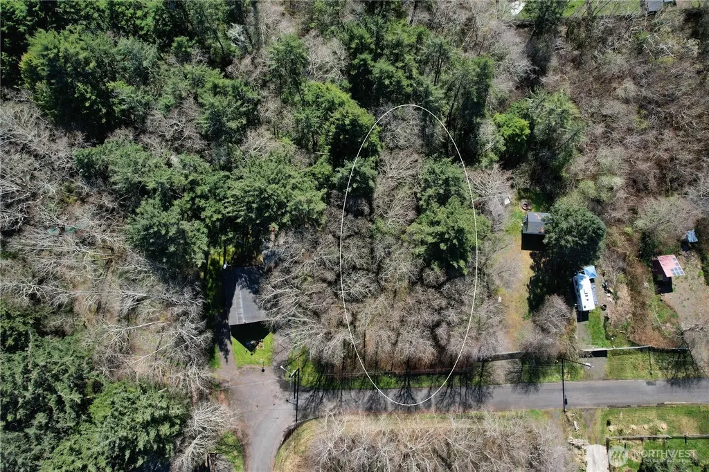 18 Woodland Drive Copalis Beach WA 98535