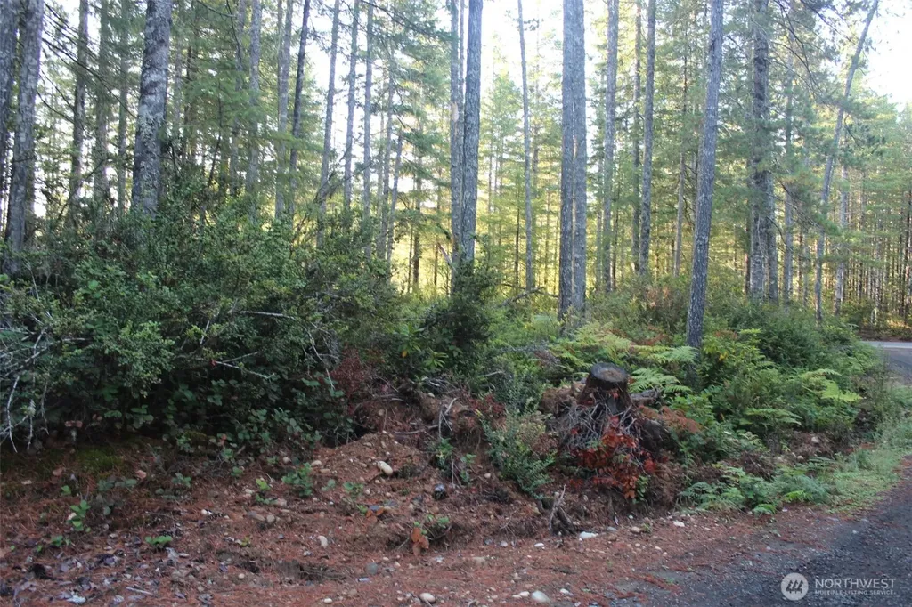 3511 NE Tahuya Blacksmith Road Tahuya WA 98588