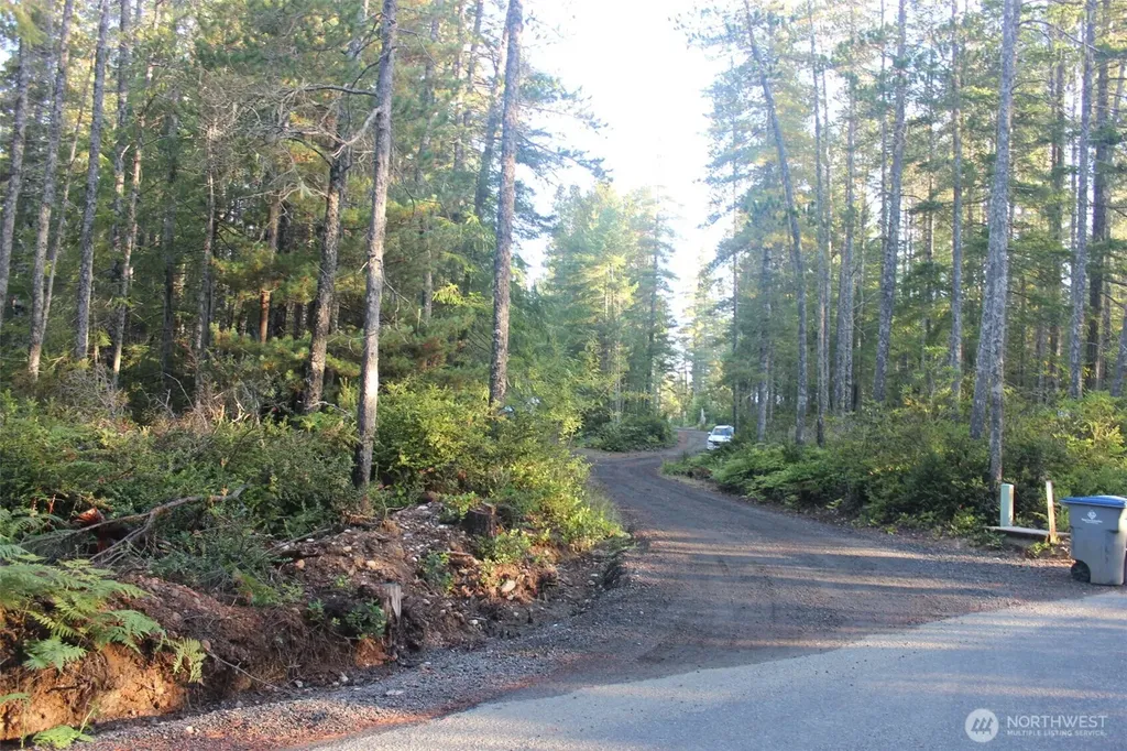 3511 NE Tahuya Blacksmith Road Tahuya WA 98588