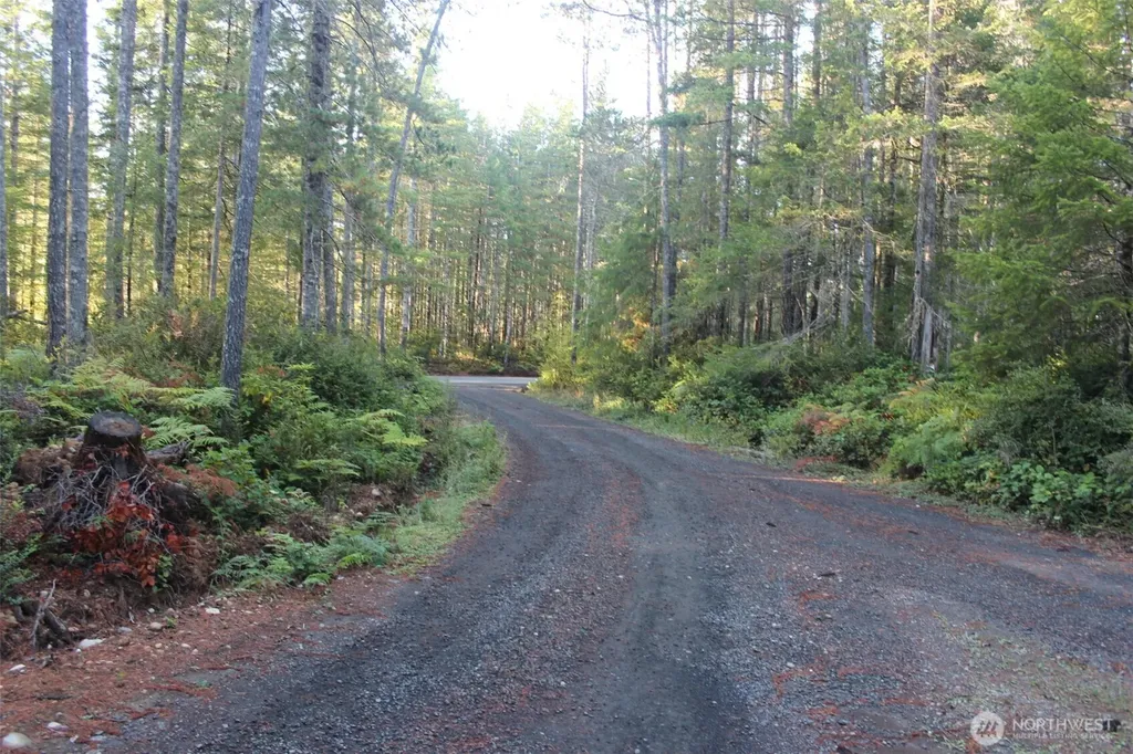 3511 NE Tahuya Blacksmith Road Tahuya WA 98588