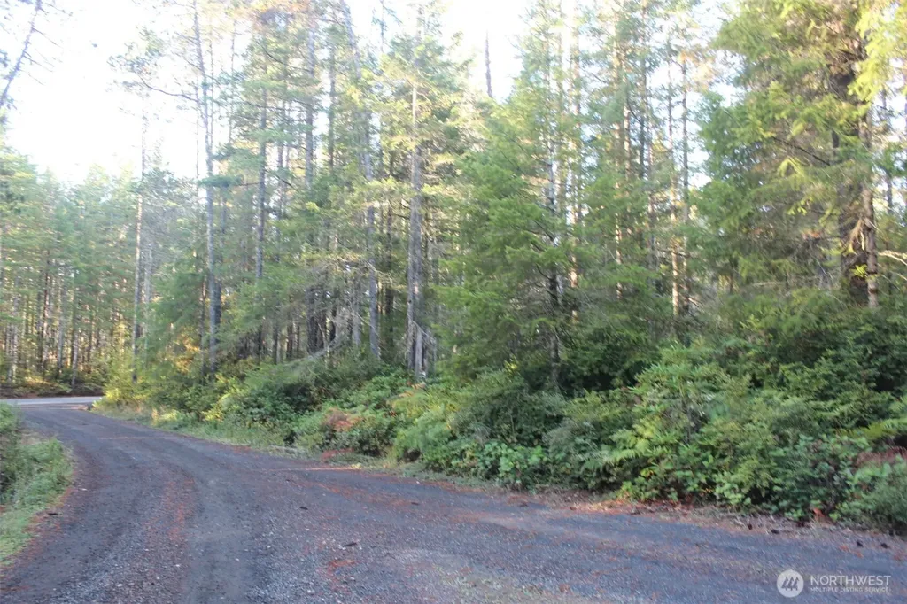 3511 NE Tahuya Blacksmith Road Tahuya WA 98588