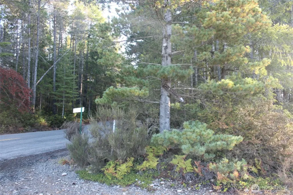3511 NE Tahuya Blacksmith Road Tahuya WA 98588