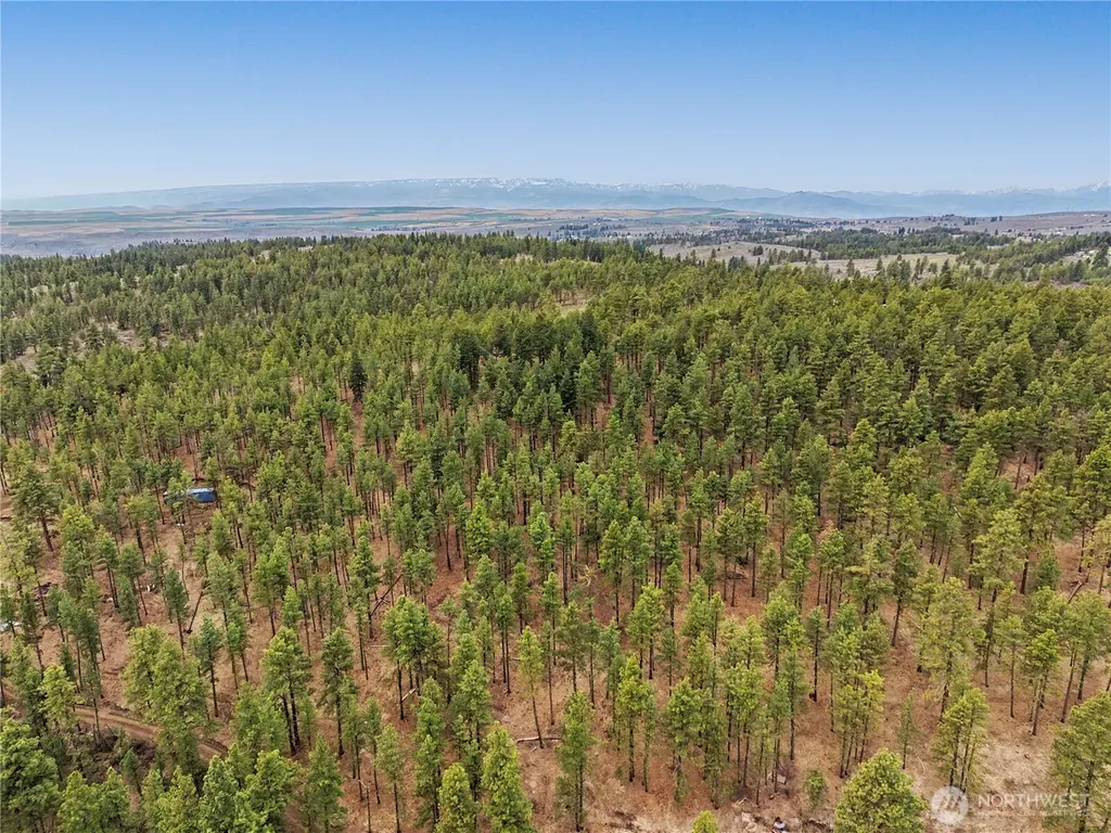 305 Sunrise Way East Wenatchee WA 98802
