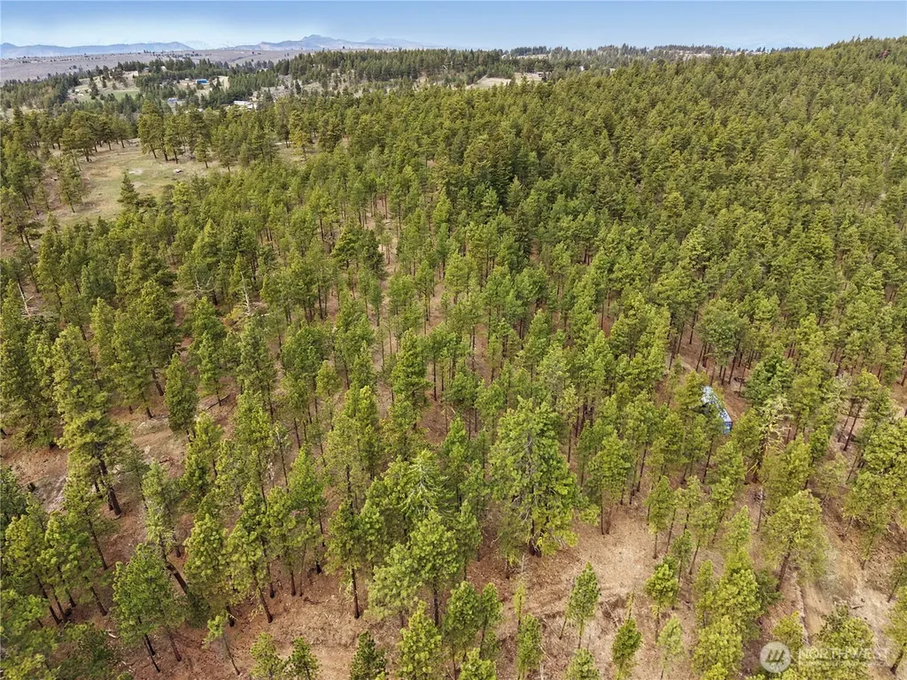 305 Sunrise Way East Wenatchee WA 98802