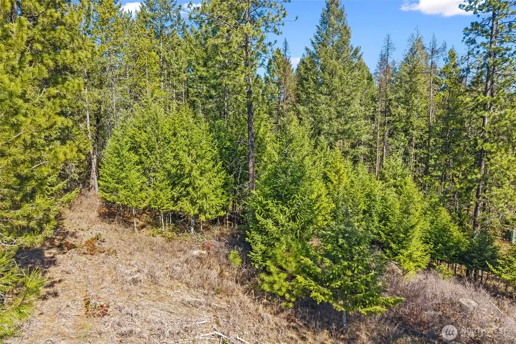 2068 Addy-gifford Road Addy WA 99101