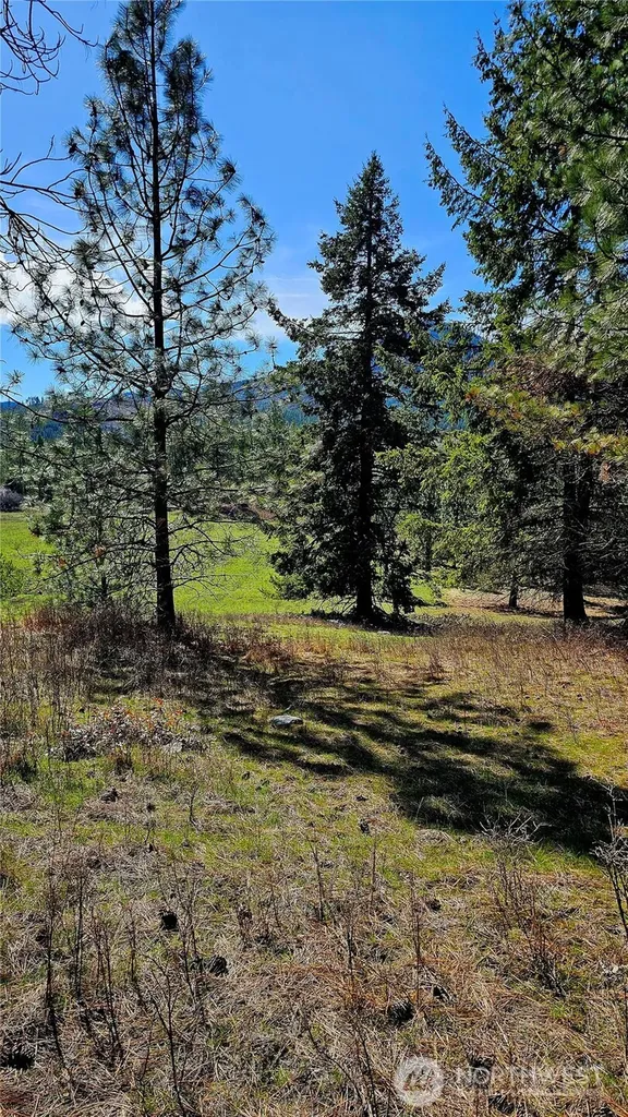2068 Addy-gifford Road Addy WA 99101