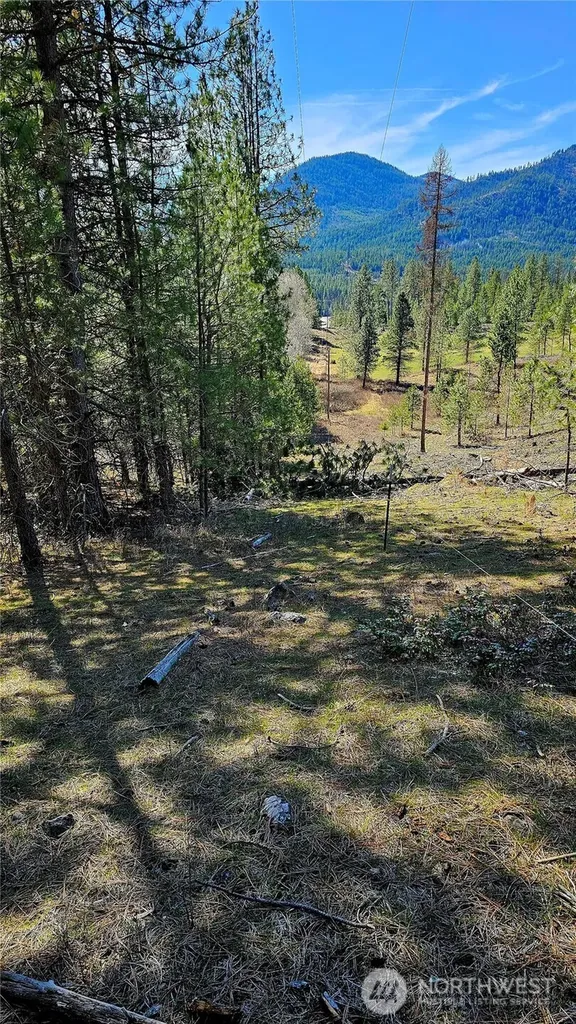 2068 Addy-gifford Road Addy WA 99101