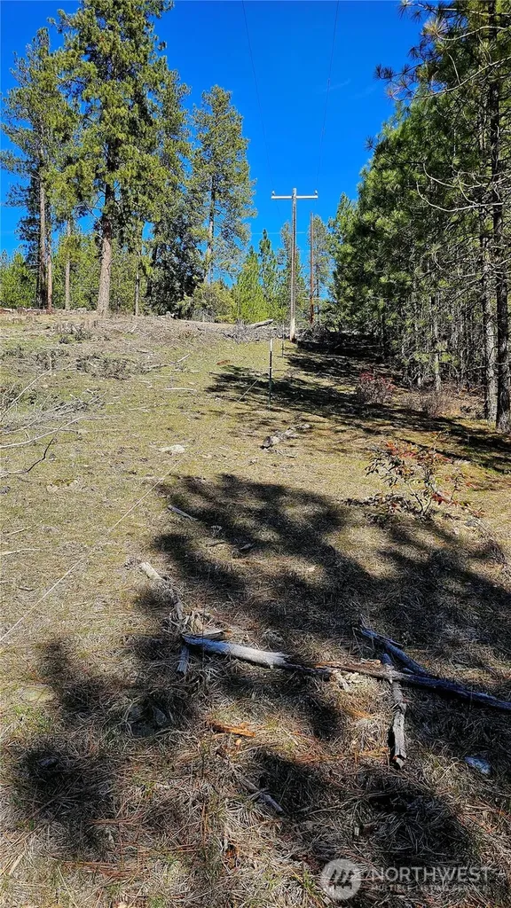 2068 Addy-gifford Road Addy WA 99101