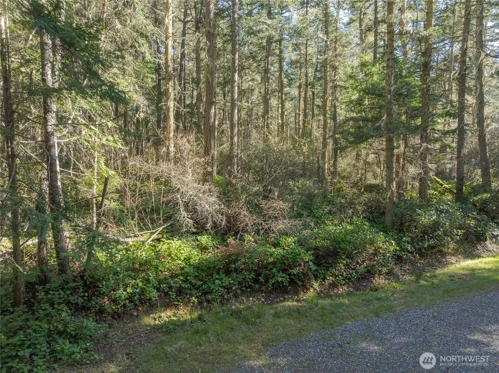 0 King's Point Road Lopez Island WA 98261