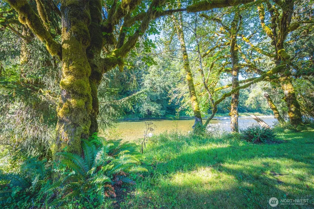 173 Pleasant Meadows Beaver WA 98305