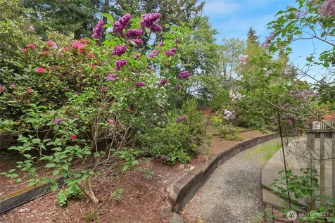 6509 182nd Street SW Lynnwood WA 98037