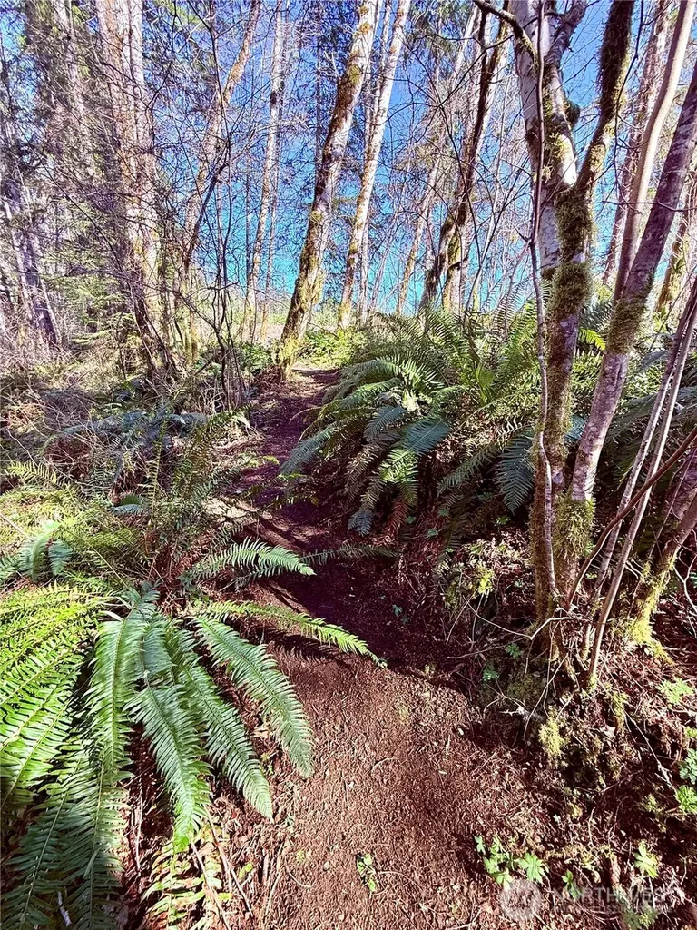 706 Falls Road Randle WA 98377