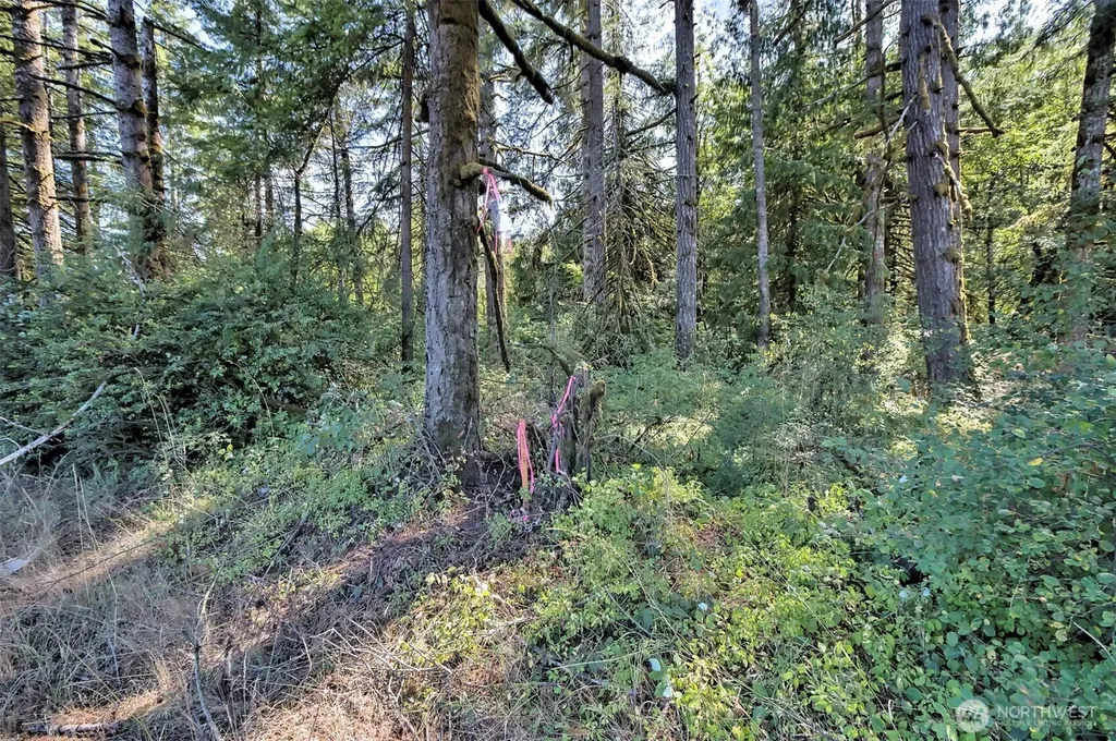 15501 N Us Highway 101 Shelton WA 98584