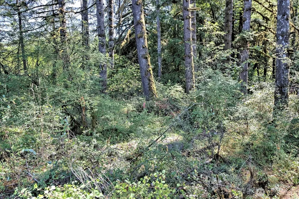 15501 N Us Highway 101 Shelton WA 98584