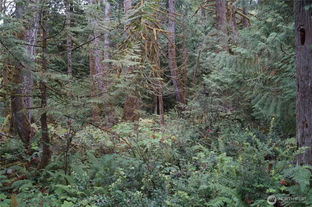 15501 N Us Highway 101 Shelton WA 98584