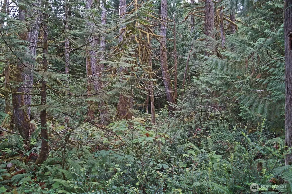 15501 N Us Highway 101 Shelton WA 98584