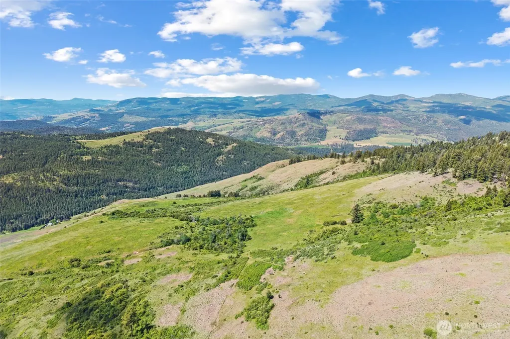 361 Lone Ranch Creek Road Danville WA 99121