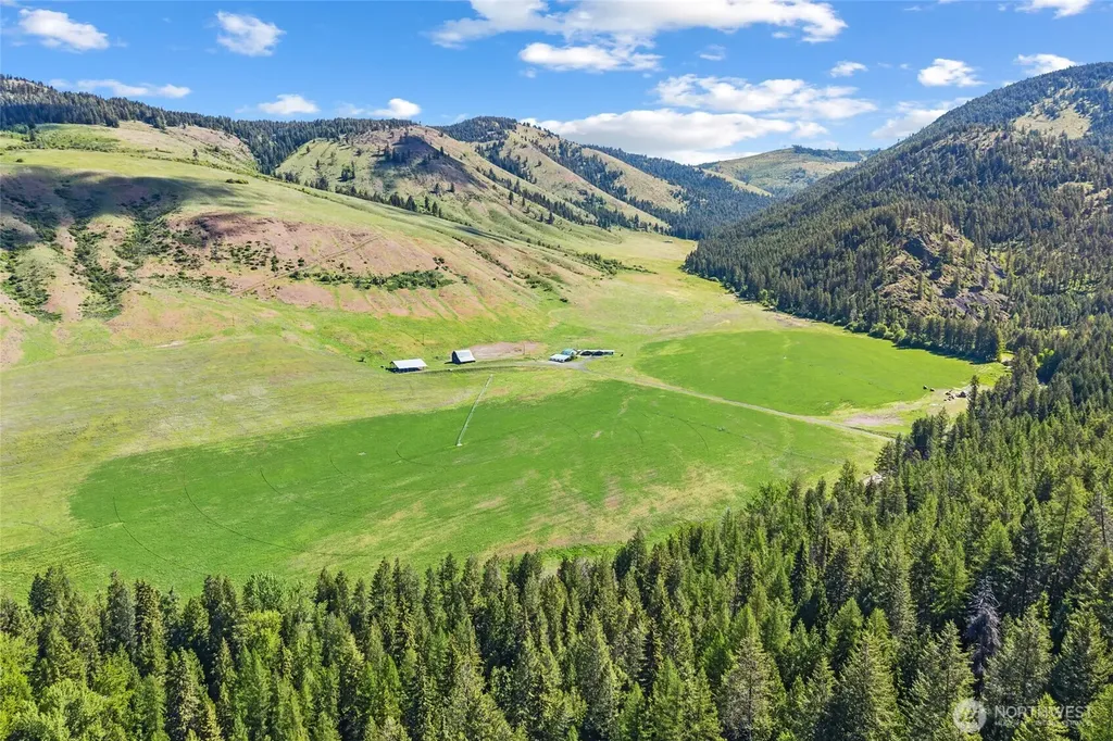361 Lone Ranch Creek Road Danville WA 99121