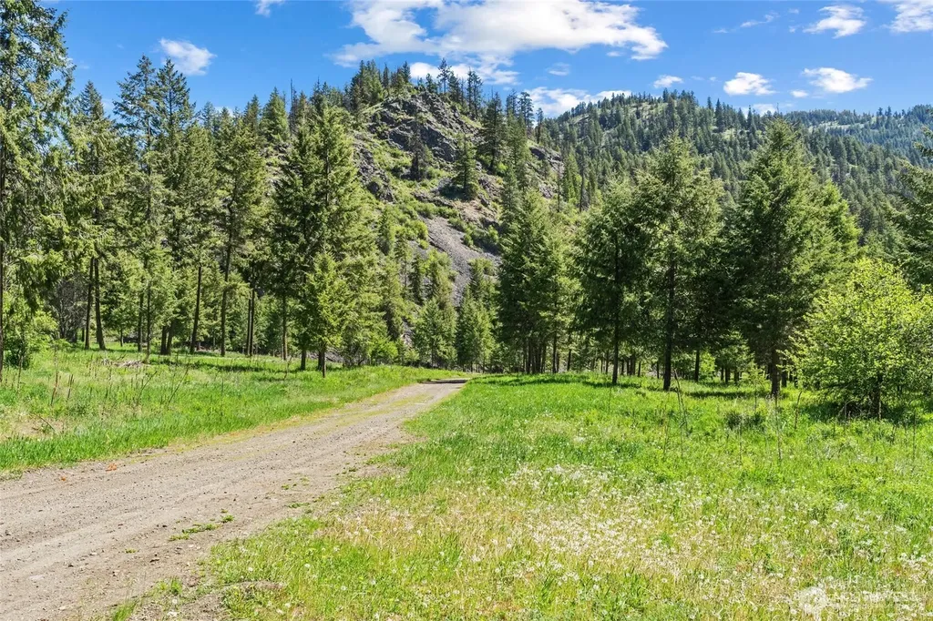 361 Lone Ranch Creek Road Danville WA 99121