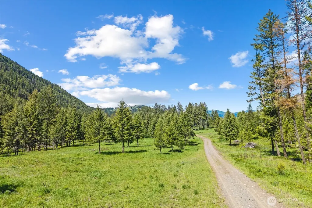 361 Lone Ranch Creek Road Danville WA 99121
