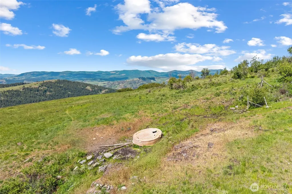 361 Lone Ranch Creek Road Danville WA 99121