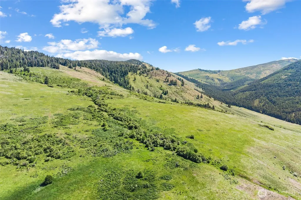361 Lone Ranch Creek Road Danville WA 99121