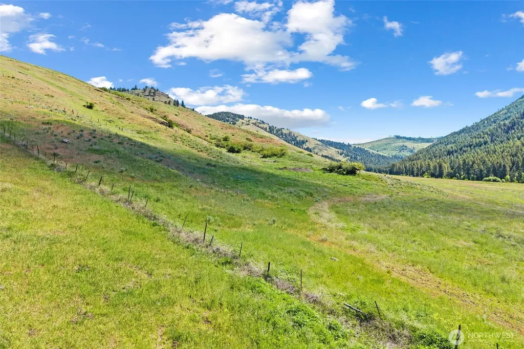 361 Lone Ranch Creek Road Danville WA 99121
