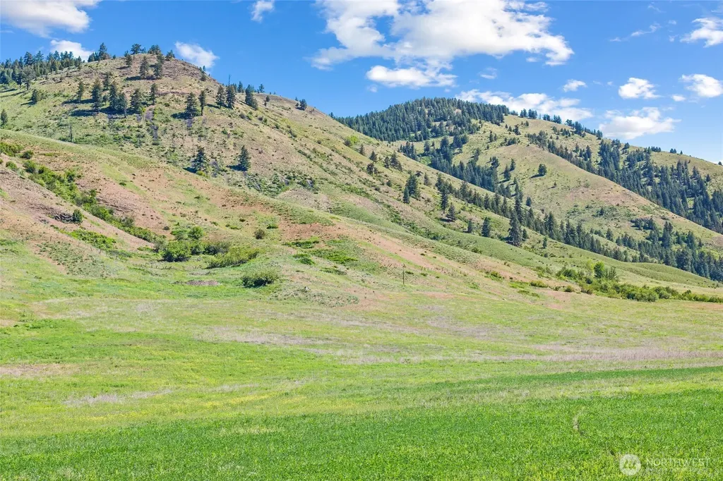 361 Lone Ranch Creek Road Danville WA 99121
