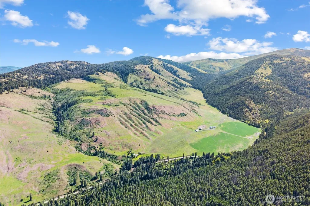 361 Lone Ranch Creek Road Danville WA 99121