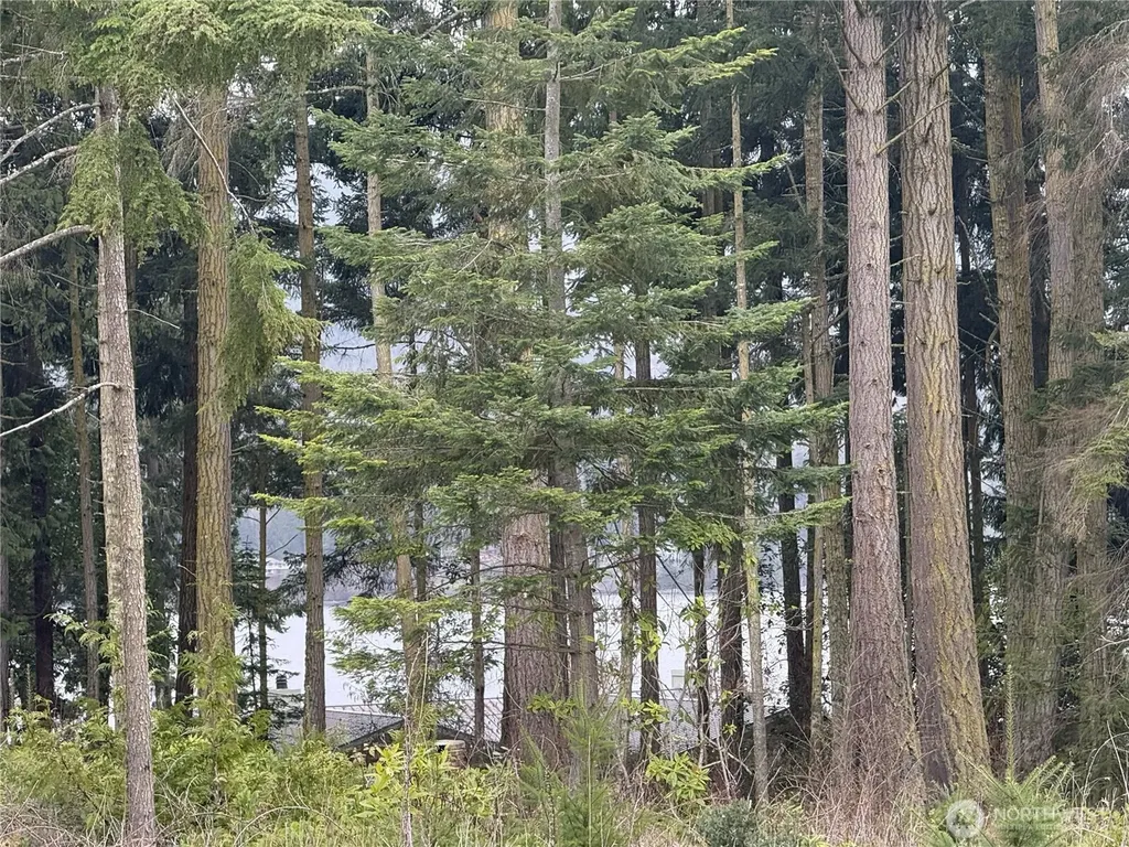 1422 E Sequim Bay Road Sequim WA 98382