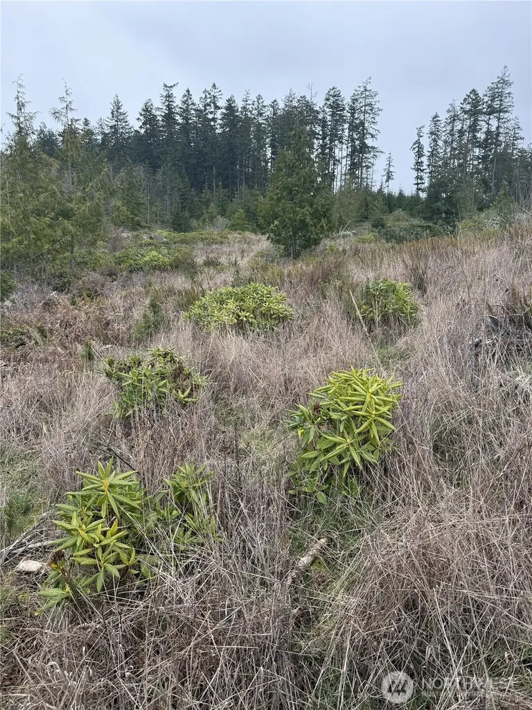 1422 E Sequim Bay Road Sequim WA 98382
