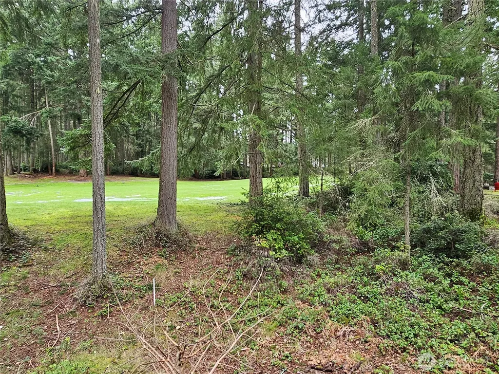 11005 Pioneer Drive Anderson Island WA 98303