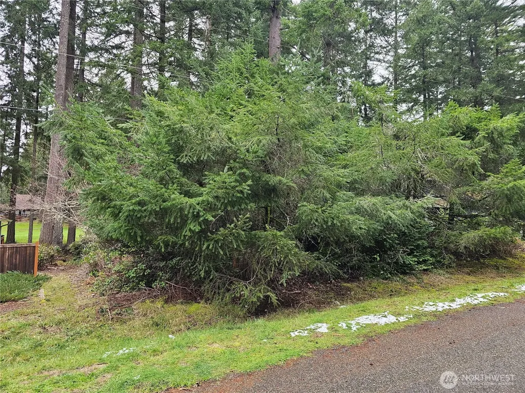 11005 Pioneer Drive Anderson Island WA 98303