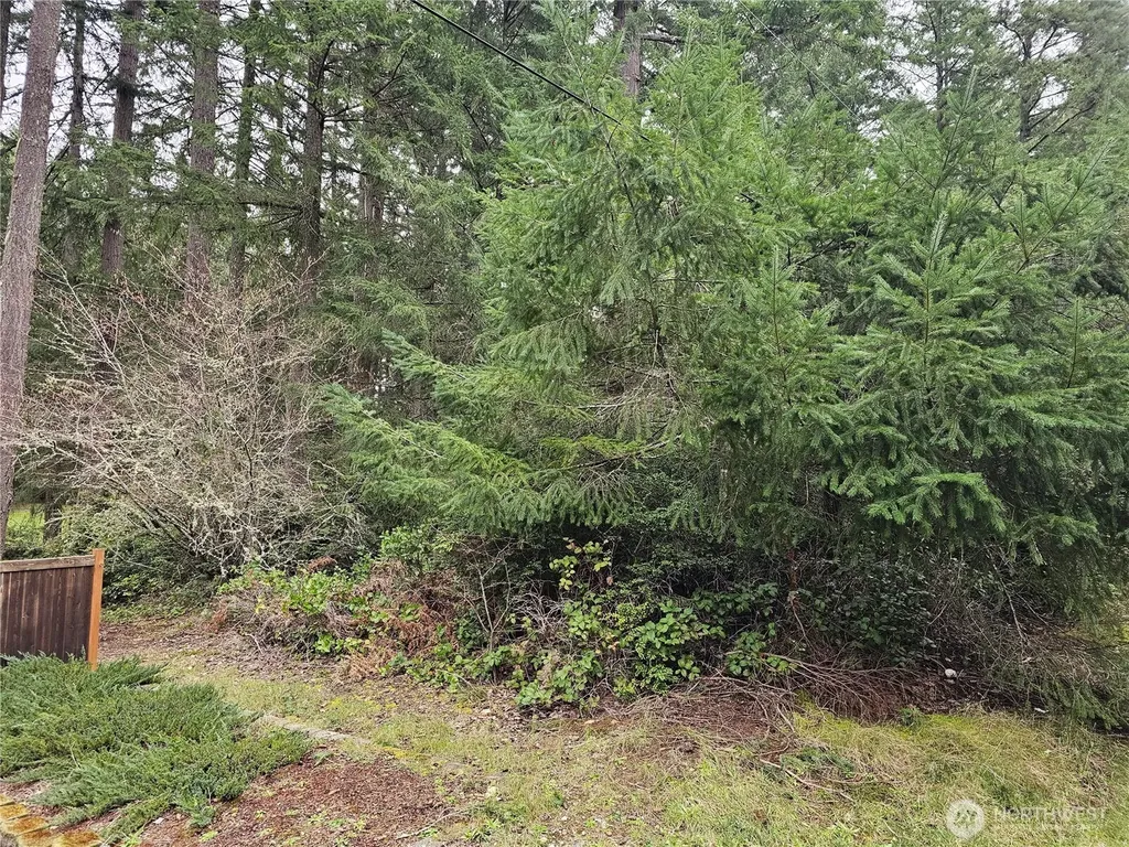 11005 Pioneer Drive Anderson Island WA 98303