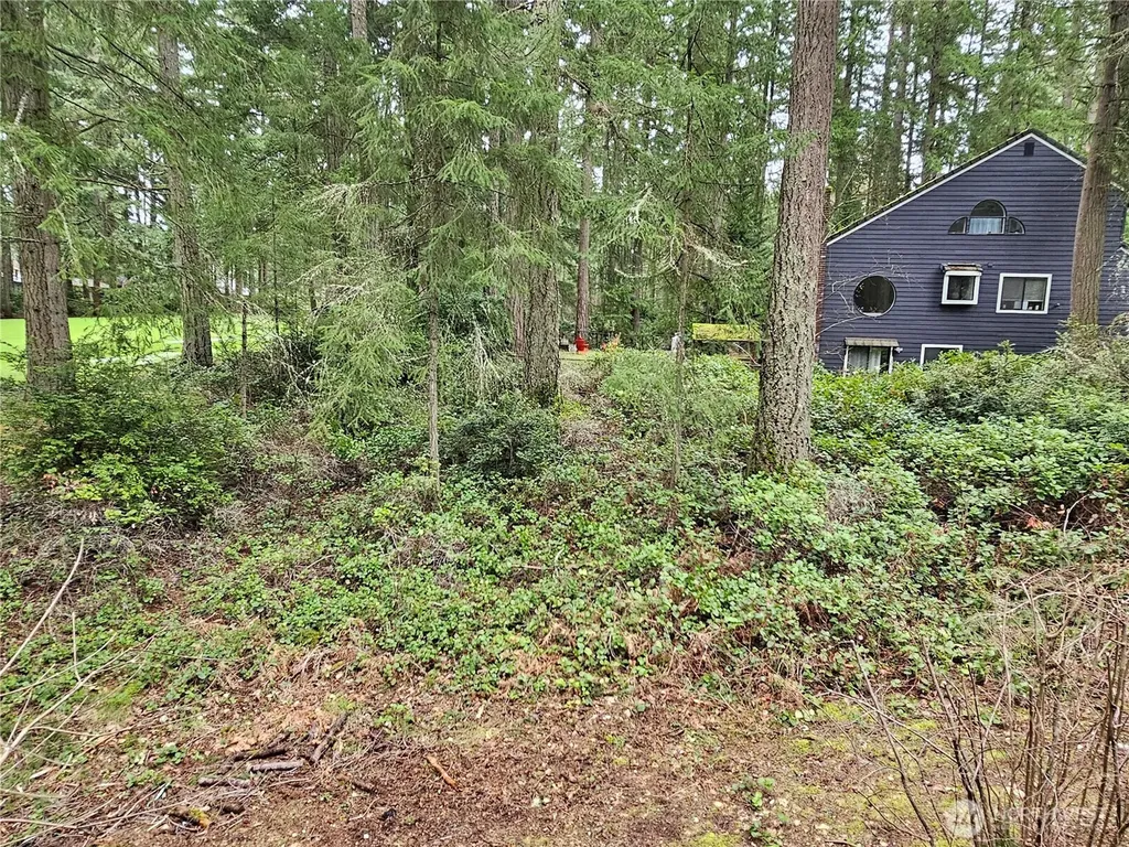 11005 Pioneer Drive Anderson Island WA 98303