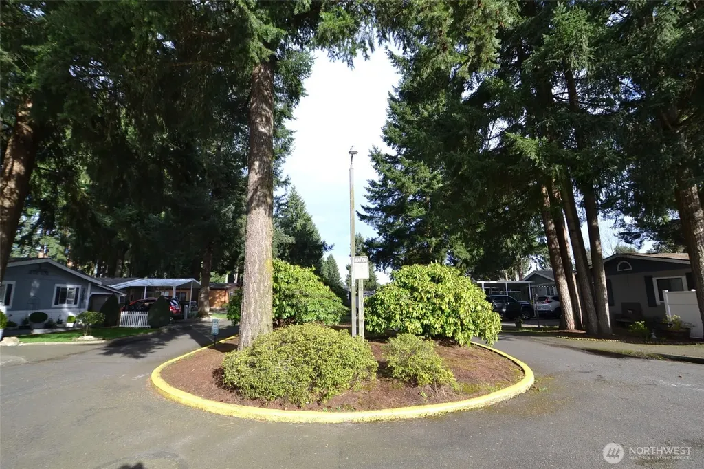 5250 College Street SE Lacey WA 98503