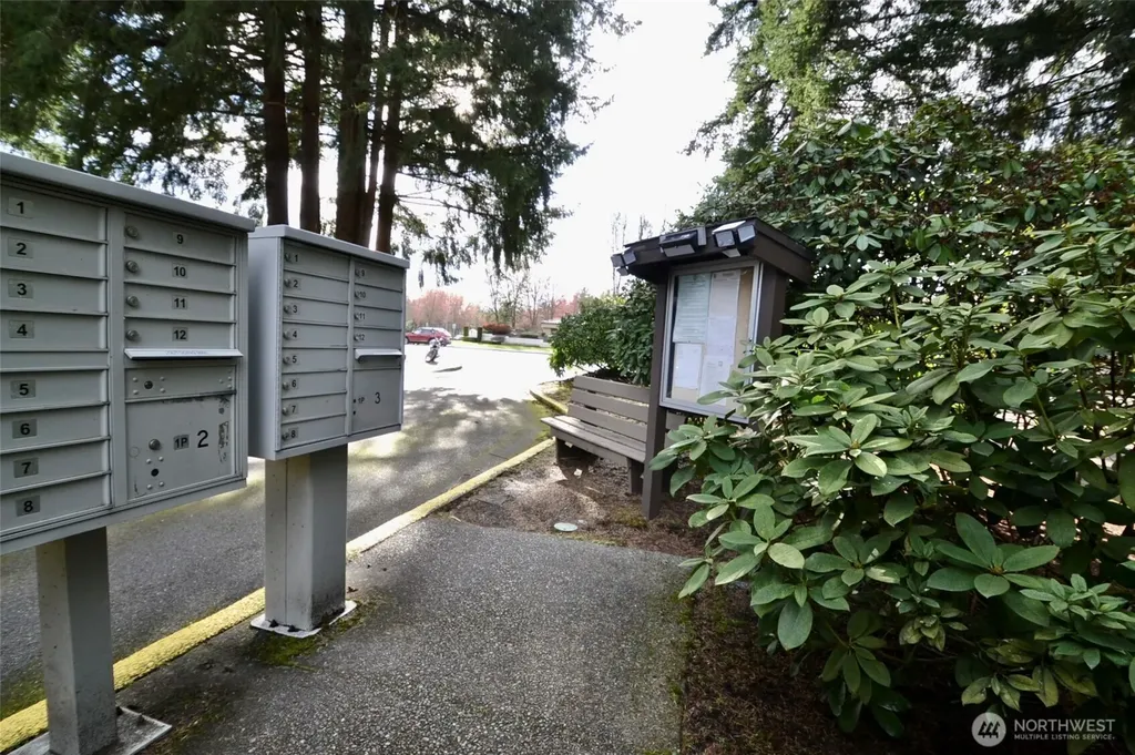 5250 College Street SE Lacey WA 98503