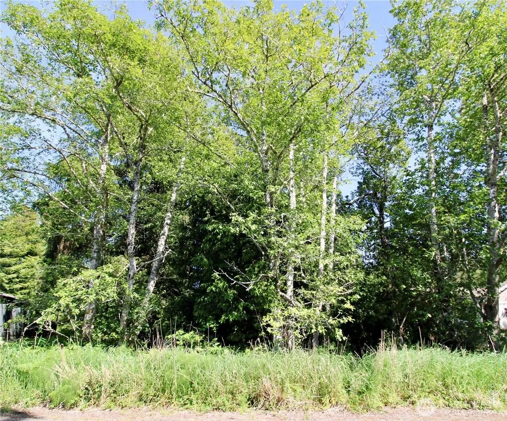 32206 R Place Ocean Park WA 98640