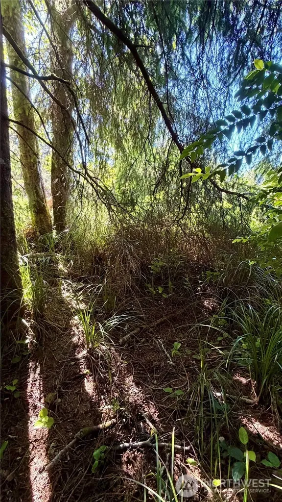 32206 R Place Ocean Park WA 98640
