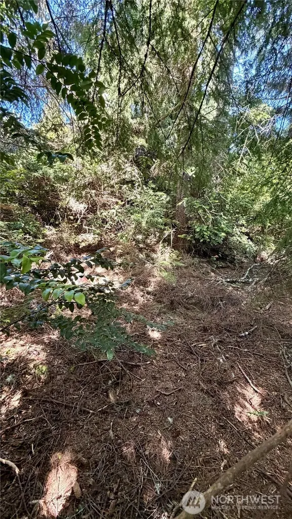 32206 R Place Ocean Park WA 98640