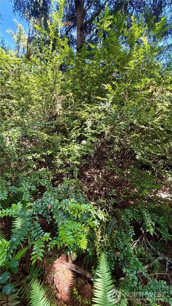 32206 R Place Ocean Park WA 98640