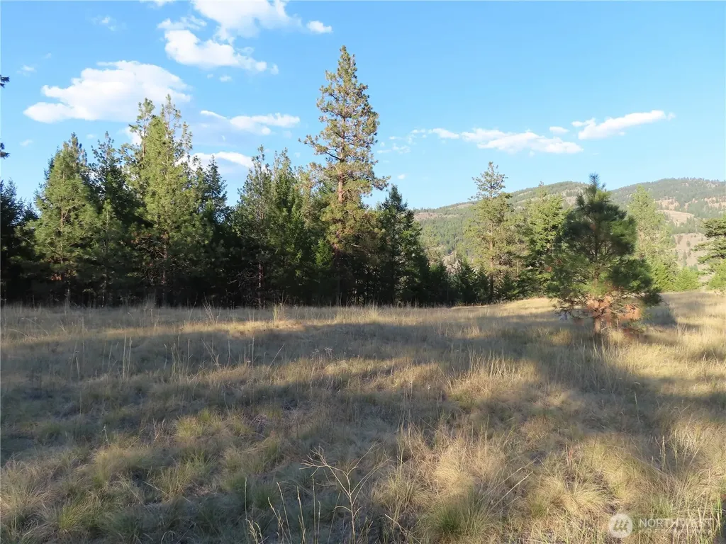 0 Toroda Creek Road Curlew WA 99118