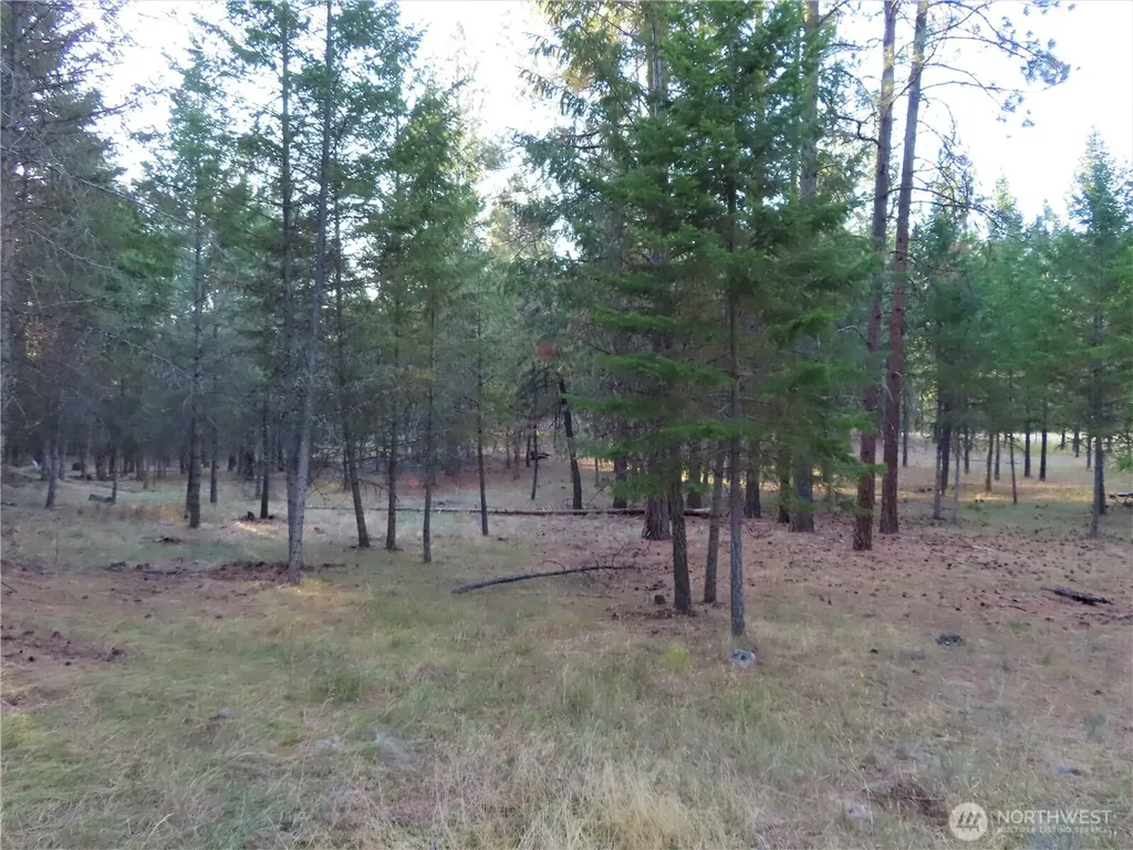 0 Toroda Creek Road Curlew WA 99118