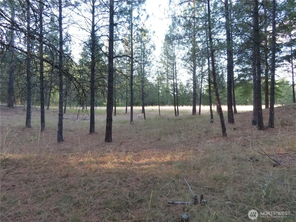 0 Toroda Creek Road Curlew WA 99118