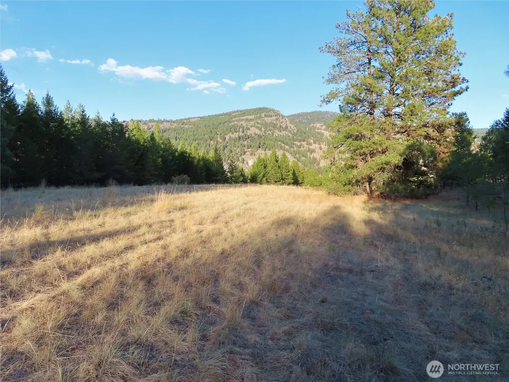 0 Toroda Creek Road Curlew WA 99118