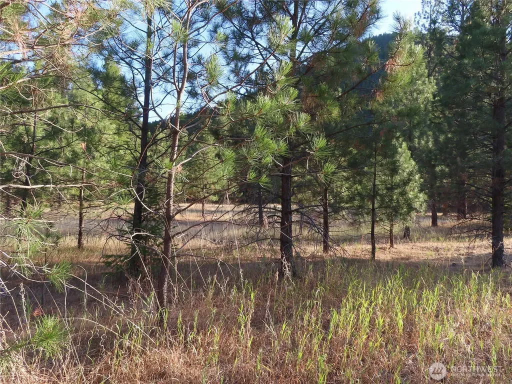 0 Toroda Creek Road Curlew WA 99118
