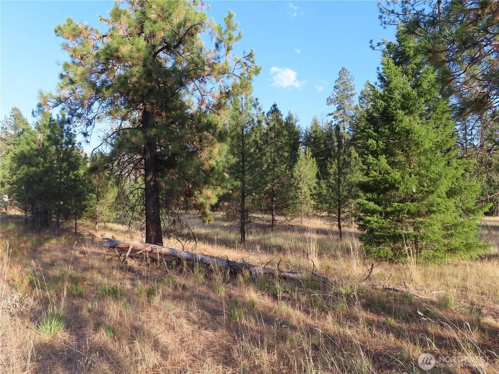 0 Toroda Creek Road Curlew WA 99118